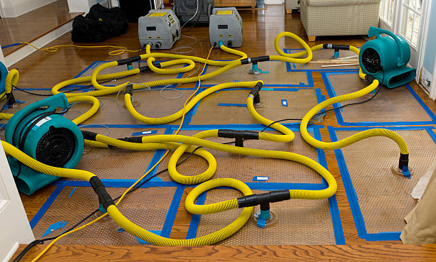 Professional Basement Flood Cleanup technician working in Derry, PA